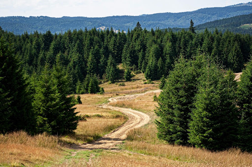 choosing land for new construction building on your land Bend Oregon